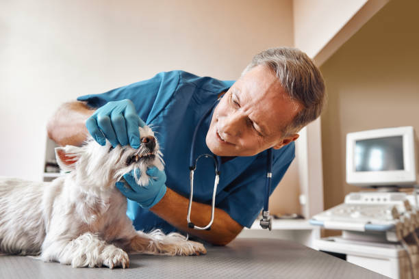 Best Emergency Wisdom Teeth Removal in Groves, TX