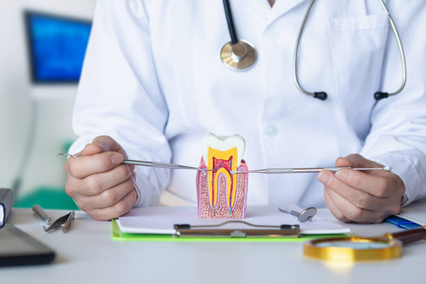 Best Emergency Gum Treatment in Groves, TX